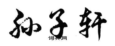 胡问遂孙子轩行书个性签名怎么写