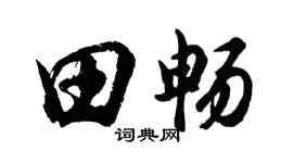 胡问遂田畅行书个性签名怎么写