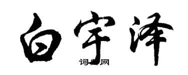 胡问遂白宇泽行书个性签名怎么写