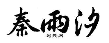 胡问遂秦雨汐行书个性签名怎么写