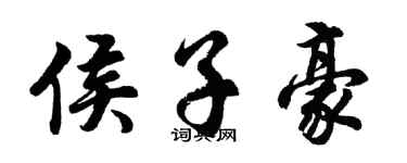 胡问遂侯子豪行书个性签名怎么写