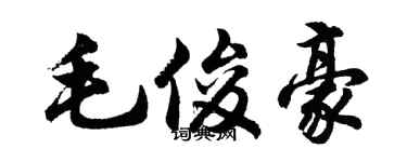 胡问遂毛俊豪行书个性签名怎么写