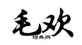 胡问遂毛欢行书个性签名怎么写