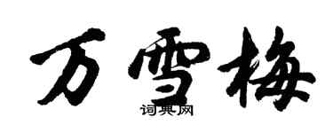 胡问遂万雪梅行书个性签名怎么写