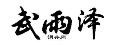 胡问遂武雨泽行书个性签名怎么写