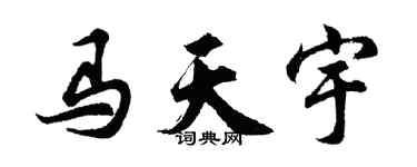 胡问遂马天宇行书个性签名怎么写