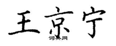 丁谦王京宁楷书个性签名怎么写