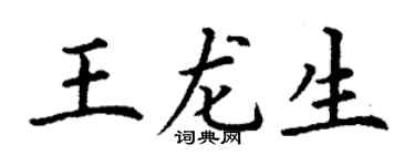 丁谦王龙生楷书个性签名怎么写