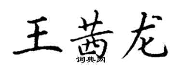 丁谦王茜龙楷书个性签名怎么写