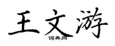 丁谦王文游楷书个性签名怎么写