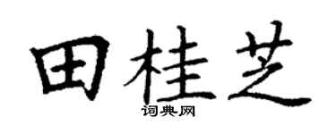 丁谦田桂芝楷书个性签名怎么写