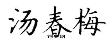 丁谦汤春梅楷书个性签名怎么写