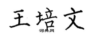 何伯昌王培文楷书个性签名怎么写