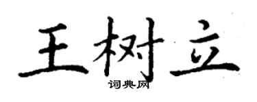 丁谦王树立楷书个性签名怎么写