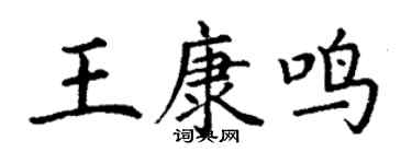 丁谦王康鸣楷书个性签名怎么写