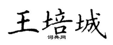 丁谦王培城楷书个性签名怎么写