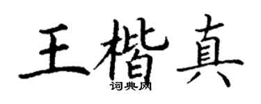 丁谦王楷真楷书个性签名怎么写
