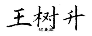 丁谦王树升楷书个性签名怎么写