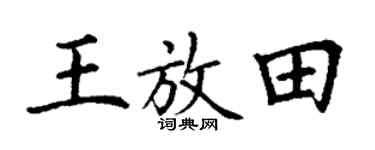 丁谦王放田楷书个性签名怎么写