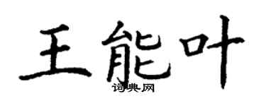 丁谦王能叶楷书个性签名怎么写