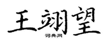 丁谦王翊望楷书个性签名怎么写