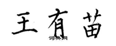 何伯昌王有苗楷书个性签名怎么写