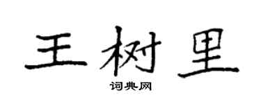 袁强王树里楷书个性签名怎么写