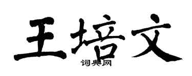 翁闿运王培文楷书个性签名怎么写