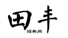 翁闿运田丰楷书个性签名怎么写