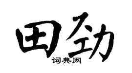 翁闿运田劲楷书个性签名怎么写