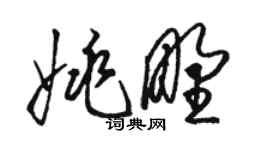 骆恒光姚野草书个性签名怎么写