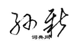 骆恒光孙新草书个性签名怎么写