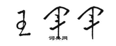 骆恒光王军军草书个性签名怎么写