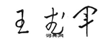 骆恒光王武军草书个性签名怎么写