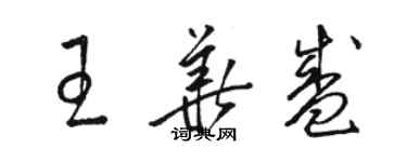 骆恒光王华盛草书个性签名怎么写