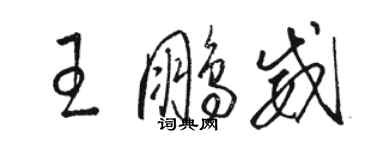 骆恒光王鹏威草书个性签名怎么写