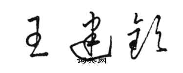 骆恒光王建钦草书个性签名怎么写