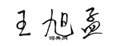 骆恒光王旭孟草书个性签名怎么写
