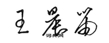 骆恒光王晨笛草书个性签名怎么写