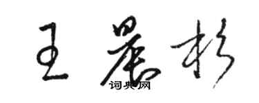 骆恒光王晨杉草书个性签名怎么写