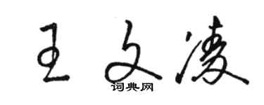 骆恒光王文凌草书个性签名怎么写