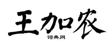 翁闿运王加农楷书个性签名怎么写