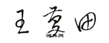 骆恒光王庆田草书个性签名怎么写