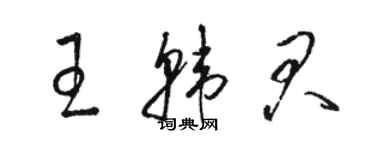 骆恒光王韩君草书个性签名怎么写