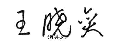 骆恒光王晓奕草书个性签名怎么写
