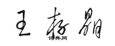 骆恒光王存晶草书个性签名怎么写