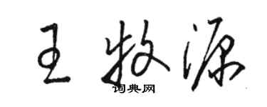 骆恒光王牧源草书个性签名怎么写