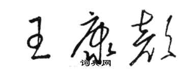 骆恒光王康颜草书个性签名怎么写