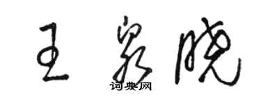 骆恒光王泉晓草书个性签名怎么写