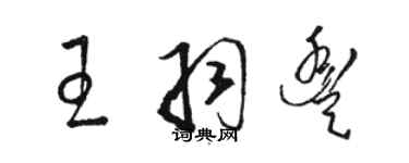 骆恒光王羽丰草书个性签名怎么写